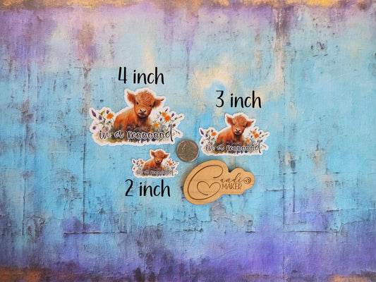 In a Mood, Cute Highland Cow Sticker or Magnet