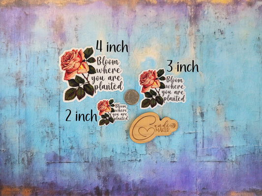 Bloom Where You Are Planted, Pink Rose Sticker or Magnet