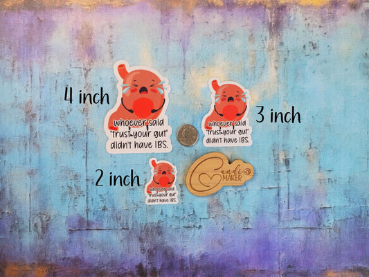 Whoever Said Trust Your Gut Didn't Have IBS, Chronic Illness Funny Sticker or Magnet