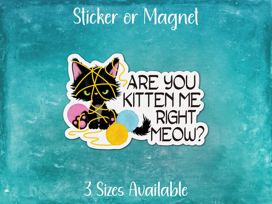 Are You Kitten Me Right Meow, Funny Black Cat Sticker or Magnet