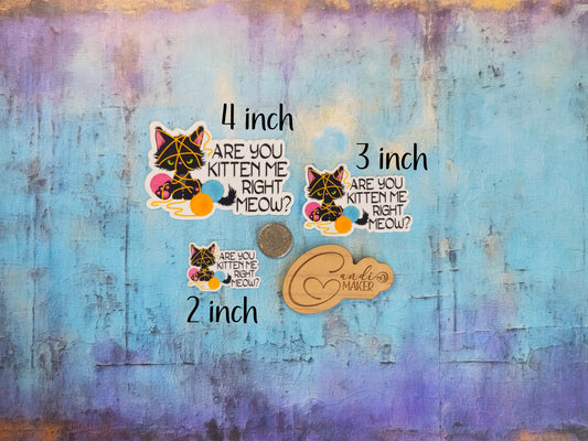 Are You Kitten Me Right Meow, Funny Black Cat Sticker or Magnet
