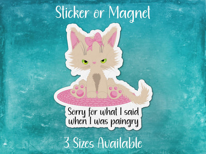 Sorry For What I Said When I Was Paingry, Chronic Pain Cat Sticker or Magnet