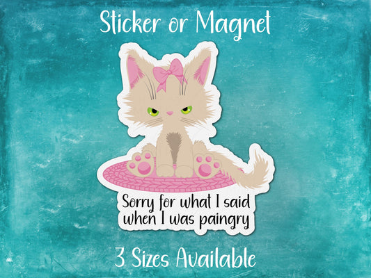 Sorry For What I Said When I Was Paingry, Chronic Pain Cat Sticker or Magnet
