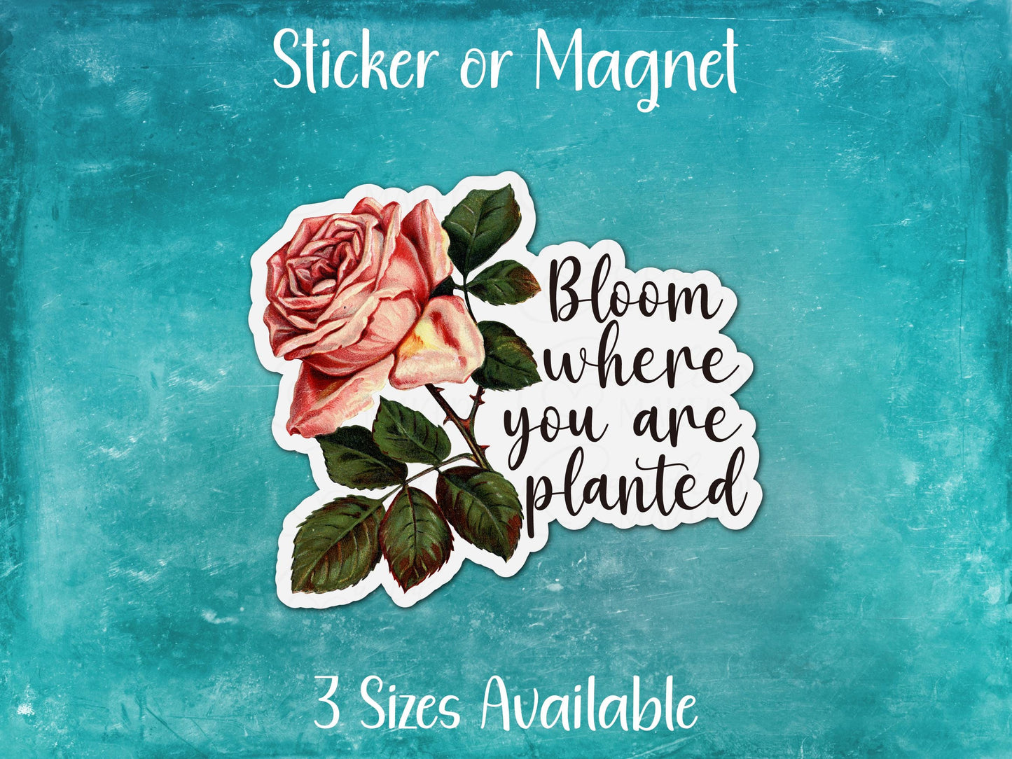 Bloom Where You Are Planted, Pink Rose Sticker or Magnet