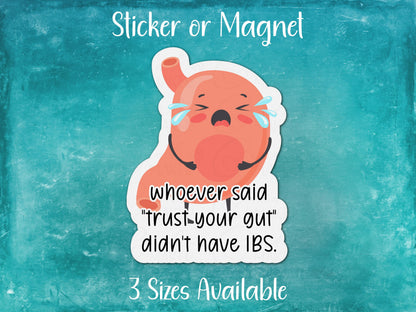 Whoever Said Trust Your Gut Didn't Have IBS, Chronic Illness Funny Sticker or Magnet