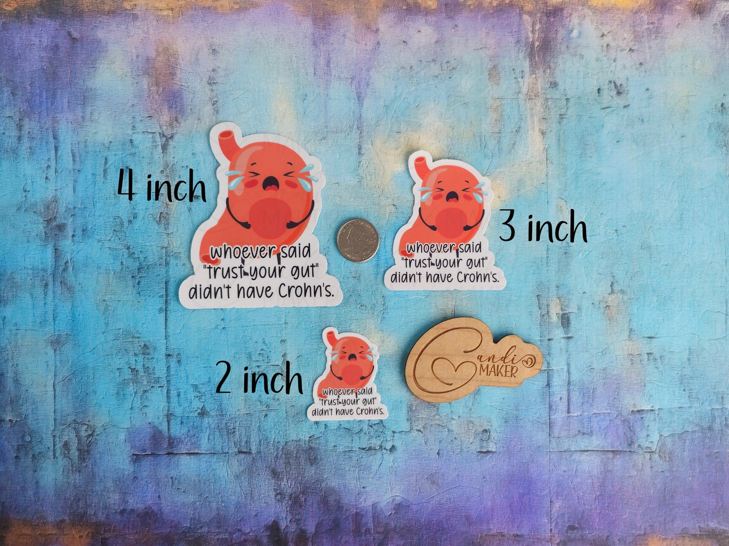 Whoever Said Trust Your Gut Didn't Have Crohn's , Chronic Illness Funny Sticker or Magnet